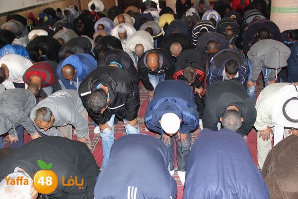 jarhoshuy msajed 0110 (20).JPG